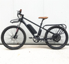 26inch Cargo Electric City Bike With 2 Seats