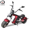 EEC COC Electric Fat Tire Scooter 2000W with Removable Battery Long Range 12inch Wheel Citycoco with Seat From China 