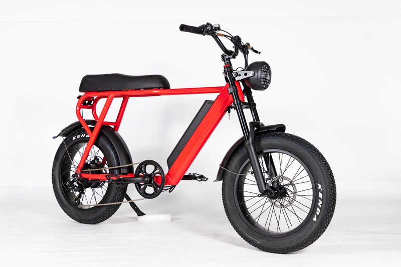 Electric Bike Moped Style