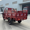 LB-LB160 Cargo tricycle electric trike three wheeler 3 wheel bike with 1000W motor and cargo box