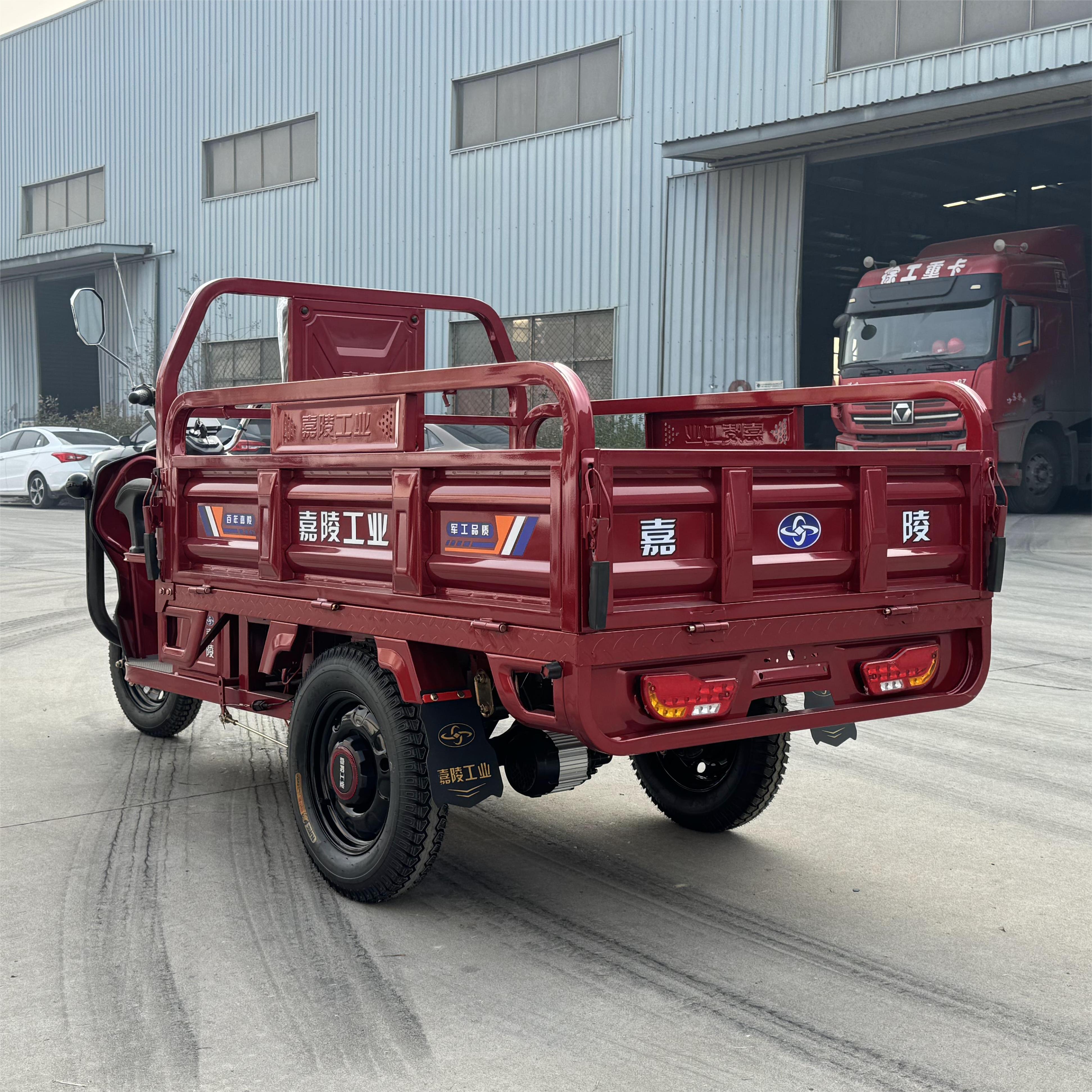 LB-LB160 Cargo tricycle electric trike three wheeler 3 wheel bike with 1000W motor and cargo box