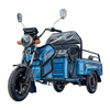 LB-GM110 Quick Charge Lead-acid Battery 3 Wheels Other Tricycles Triciclo Electrico Electric Tricycle Farm Helper EEC