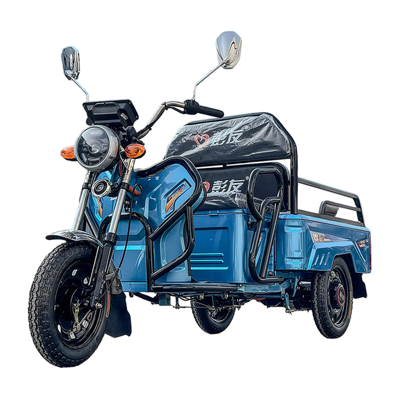 LB-GM110 Quick Charge Lead-acid Battery 3 Wheels Other Tricycles Triciclo Electrico Electric Tricycle Farm Helper EEC