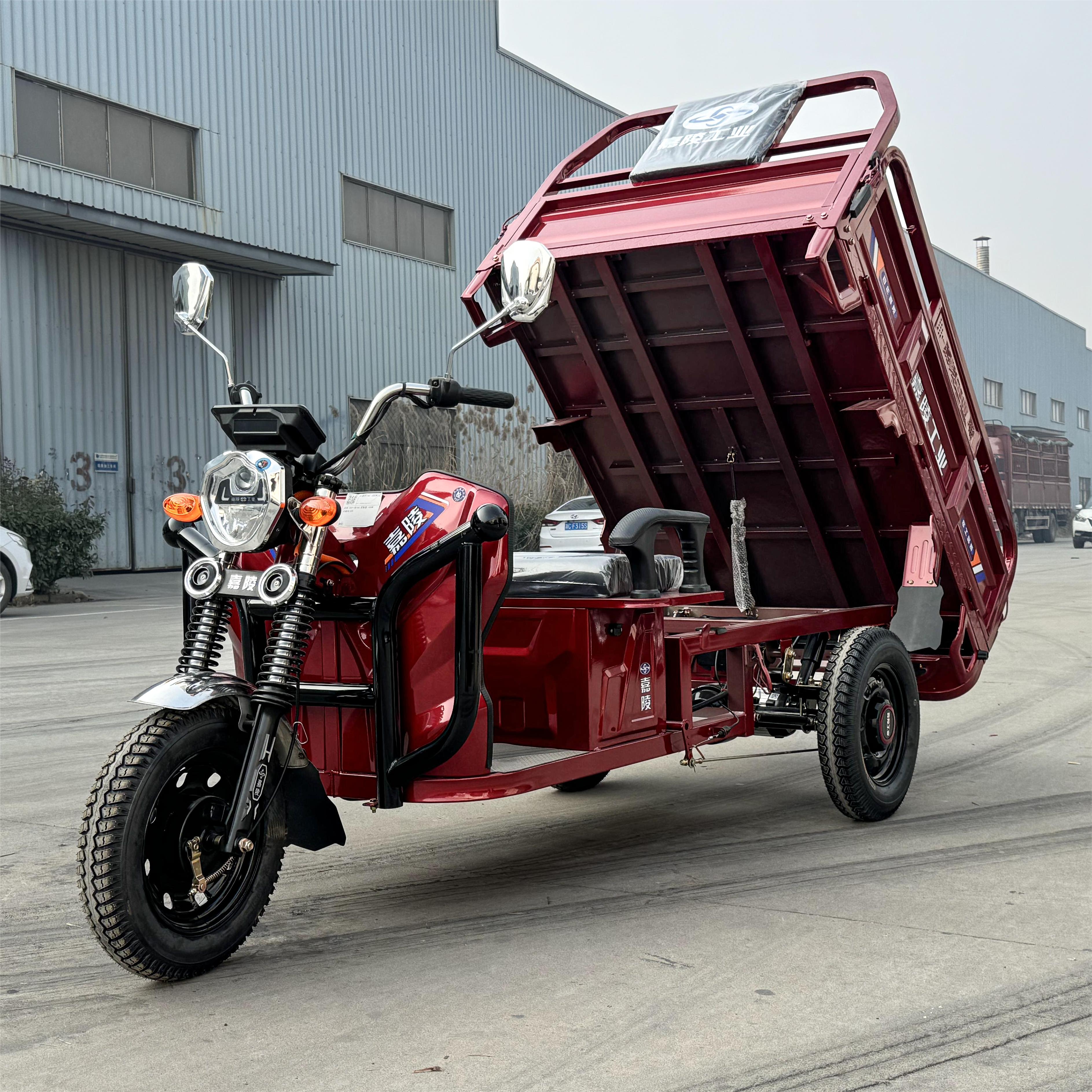 LB-LB160 Cargo tricycle electric trike three wheeler 3 wheel bike with 1000W motor and cargo box