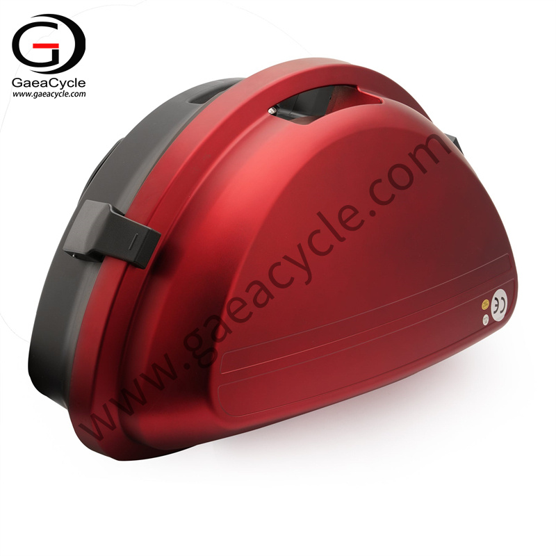 Citycoco Saddlebag (7)