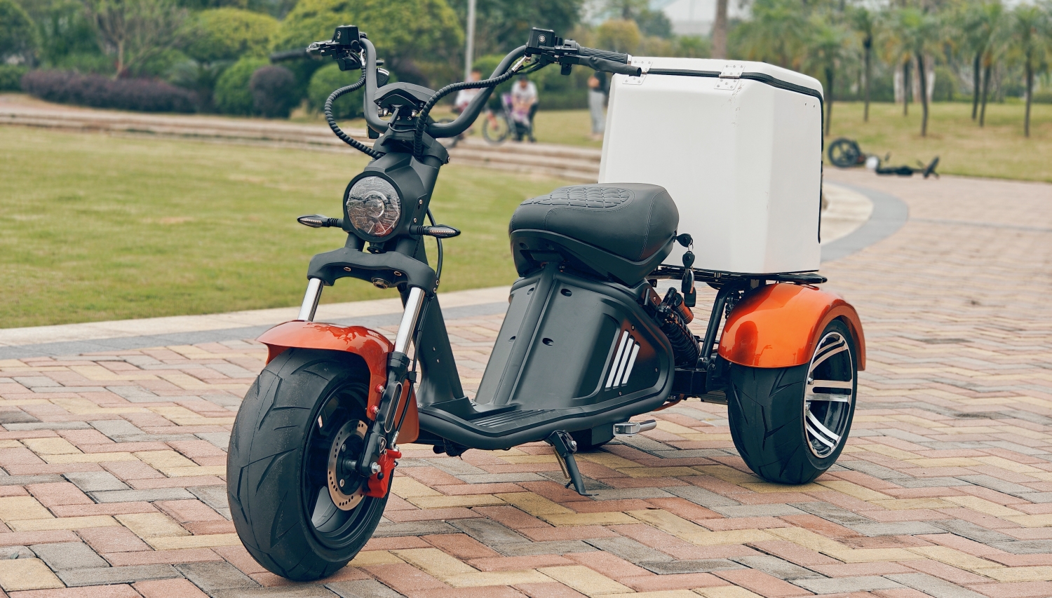 IMG20230510173052_副本