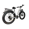 GaeaCycle 20 Inch Lightweight Ebike 500W Custom Motor Electric Bike Fat Tire with Hidden Battery