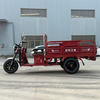 LB-LB160 Cargo tricycle electric trike three wheeler 3 wheel bike with 1000W motor and cargo box