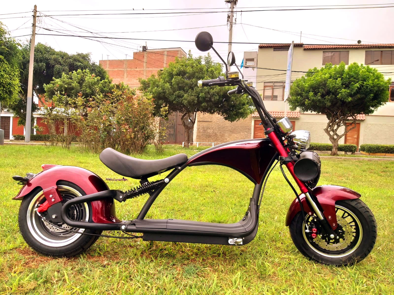 158223376_225996155928738_3508431988552579822_o