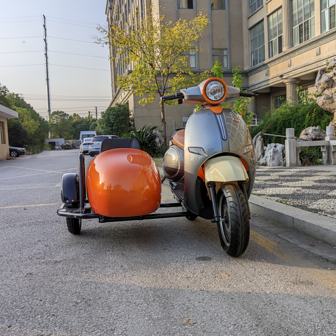 Gaeacycle 3 Wheels Electric Scooter Motorcycle Sidecar Tricycle for Cargo Passenger Delivery with Safety Belt