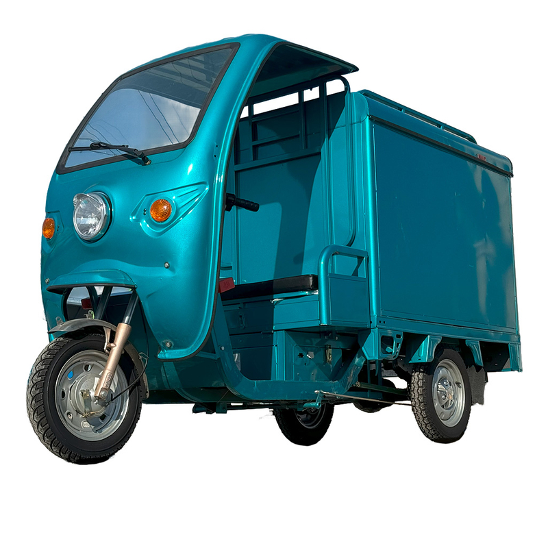 LB-3W4D Electric Tricycle Fat Tyre 3 Wheel Electric Tricycle 3 Wheel Adult Cargo Electric Bike with Basket