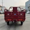 LB-LB160 Cargo tricycle electric trike three wheeler 3 wheel bike with 1000W motor and cargo box