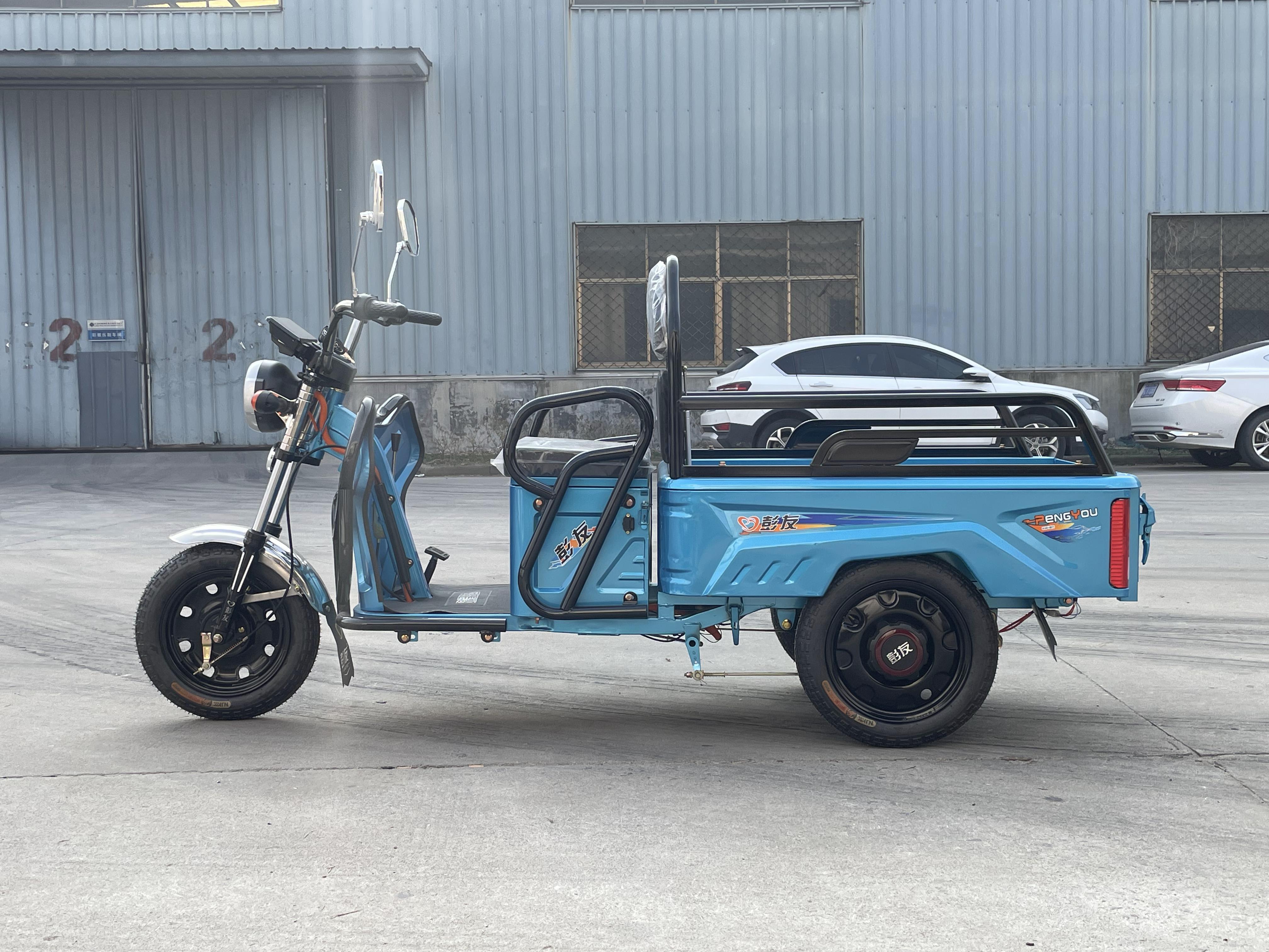 LB-GM110 Quick Charge Lead-acid Battery 3 Wheels Other Tricycles Triciclo Electrico Electric Tricycle Farm Helper EEC