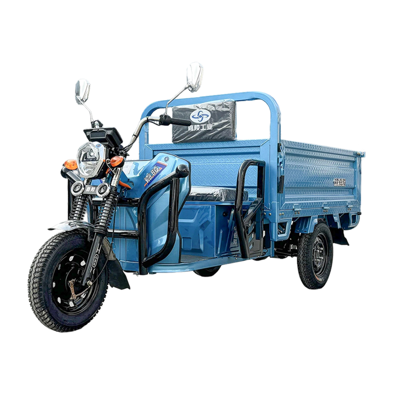 LB-ZZ160 Brand Electric Tricycle for Cargo with Lead-Acid Battery Durable Quality Cheap Price