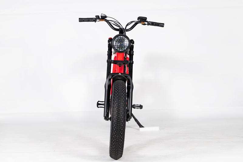 electric bike | Gaeacycle