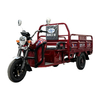 LB-LB160 Cargo tricycle electric trike three wheeler 3 wheel bike with 1000W motor and cargo box