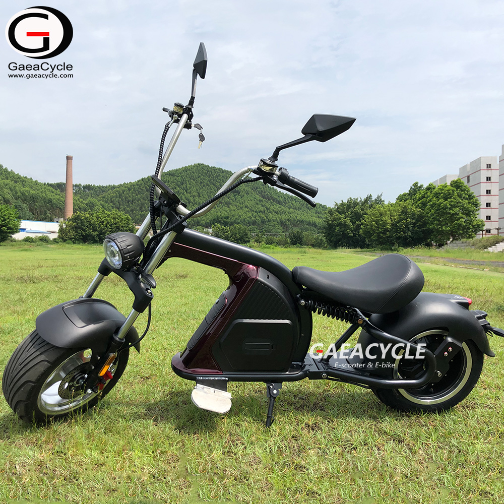 Newly EEC COC Approval Electric Scooter 2000W High Power 20Ah 30Ah Battery for Long Range Aluminum Alloy Frame with 5A Fast Charger for Sale