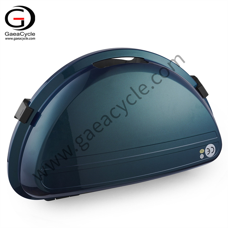 Citycoco Saddlebag (9)