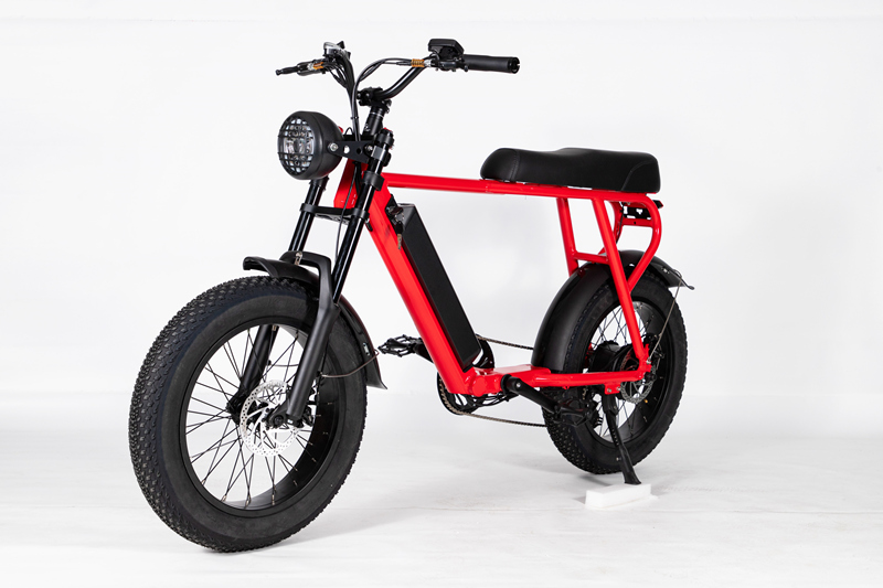 electric bike with 20*4 fat tire