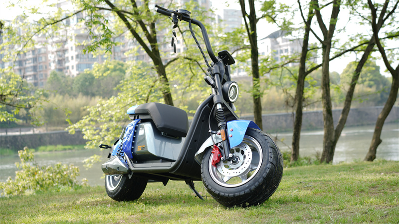 Citycoco 701 fat tire scooter