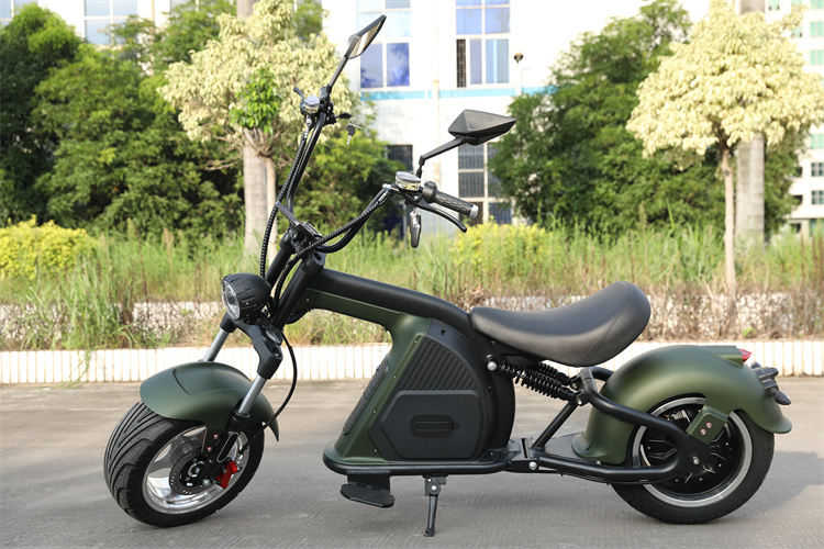Citycoco M8 electric scooter