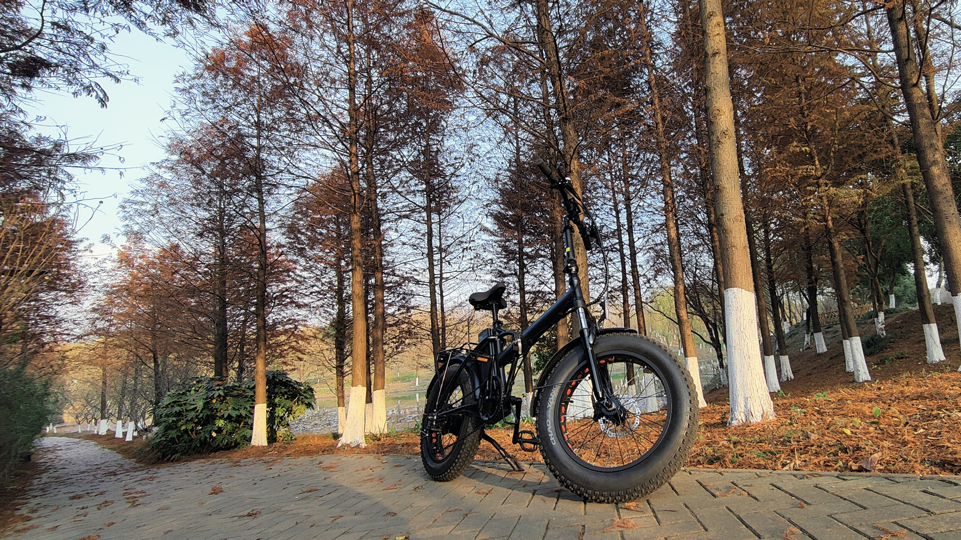 fat tirefolding electric bike
