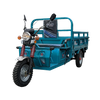 LB-3W3S China Auto Family Rickshaw 3 Wheel Cargo Tricycle Carrying Electric Trucks