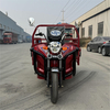 LB-LB160 Cargo tricycle electric trike three wheeler 3 wheel bike with 1000W motor and cargo box