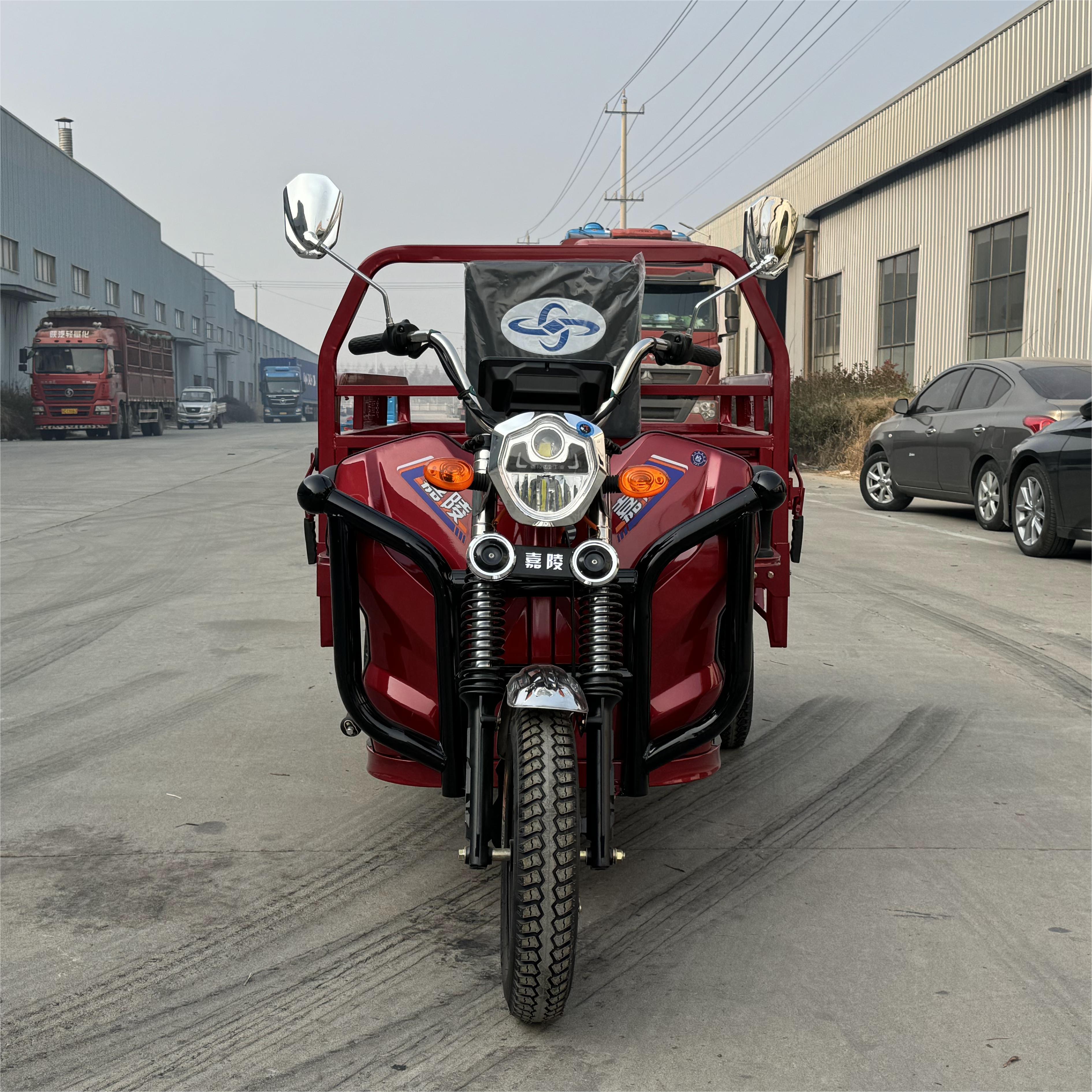 LB-LB160 Cargo tricycle electric trike three wheeler 3 wheel bike with 1000W motor and cargo box