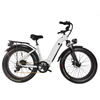 GaeaCycle 20 Inch Lightweight Ebike 500W Custom Motor Electric Bike Fat Tire with Hidden Battery