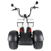 GaeaCycle M6G 3 Wheels 2000W Full Suspension Chopper Style Electric Golf Cart Scooter for sale