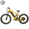 Factory Directly Sell 48v 750w Mountain Fat Tyre Electric Bike