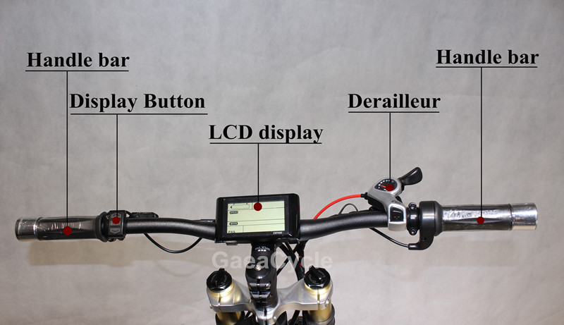 IMG_6530_副本_副本