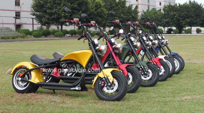 67086429_62599_副本