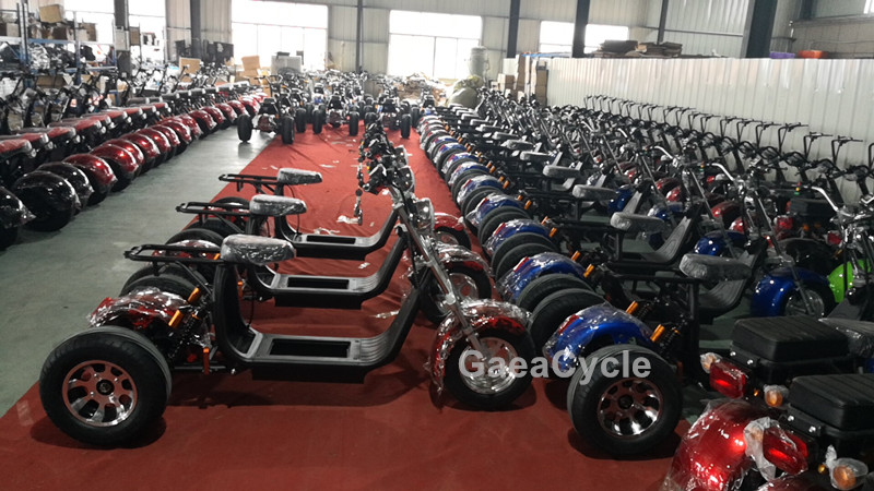 微信图片_20190305112652_副本