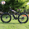 Fat Tire 500W Snow Beach Electric Bicycle