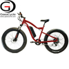 Fat Tire 1000W Mountain Electric Bicycle