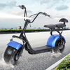 Full Suspension Citycoco Fat Tire Electric Scooter 