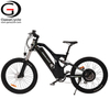 Full Suspension 1000W Mountain Electric Bicycle