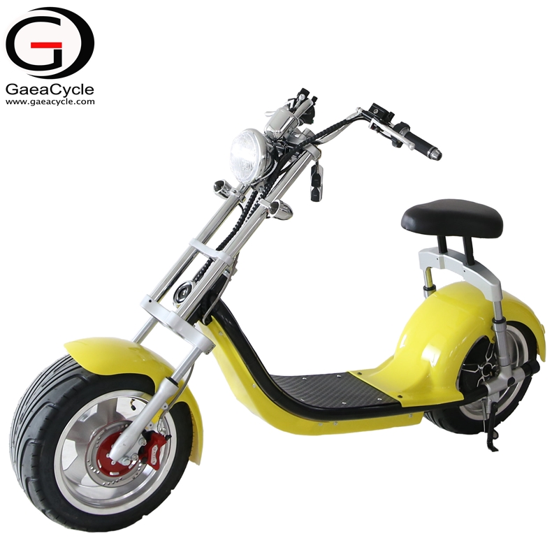 18*9.5 Fat Tire Electric Scooter Double Fork Citycoco