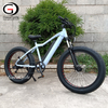 Newest 48v 500w/750w Hidden Battery Fat Tire Mountain Electric Bike for Ault