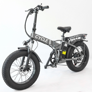 US Warehouse 500W Fat Tire Folding 2 Wheels Electric Bike with Removable Battery for Sale
