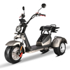 GaeaCycle Trike Motorcycle 10inch Fat Tires EEC COC 45km/h 4000w Citycoco Three Wheel Electric Scooter