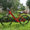 GaeaCycle Electric Bike for Adults, Step Through Ebike, 250W Motor, Disc Brake, Lithium Battery | Ebike Manufacturer