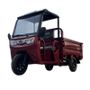 LB-BFB160 Cargo Trike Electric Motor Three Wheel Mini Truck with Shed for Farming and Transport from Manufacturer