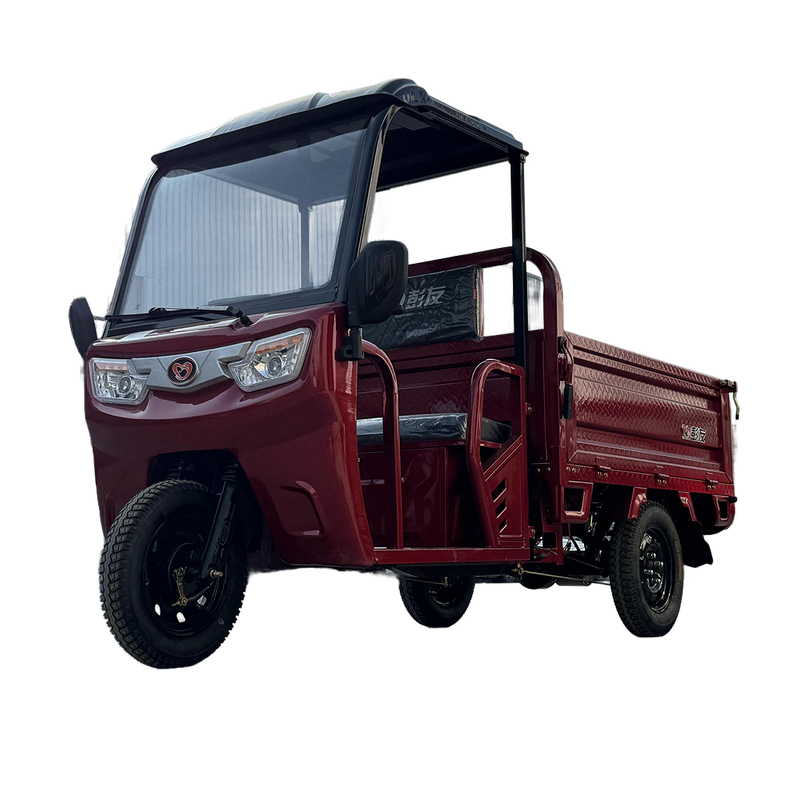 LB-BFB160 Cargo Trike Electric Motor Three Wheel Mini Truck with Shed for Farming and Transport from Manufacturer