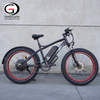 GaeaCycle Mustang 20 Inch Fat Tire Electric Bike, Dual Motor, Large Lithium Battery,7-Speed.| Electric Bike Manufacturer