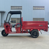 LB-BFB160 Cargo Trike Electric Motor Three Wheel Mini Truck with Shed for Farming and Transport from Manufacturer
