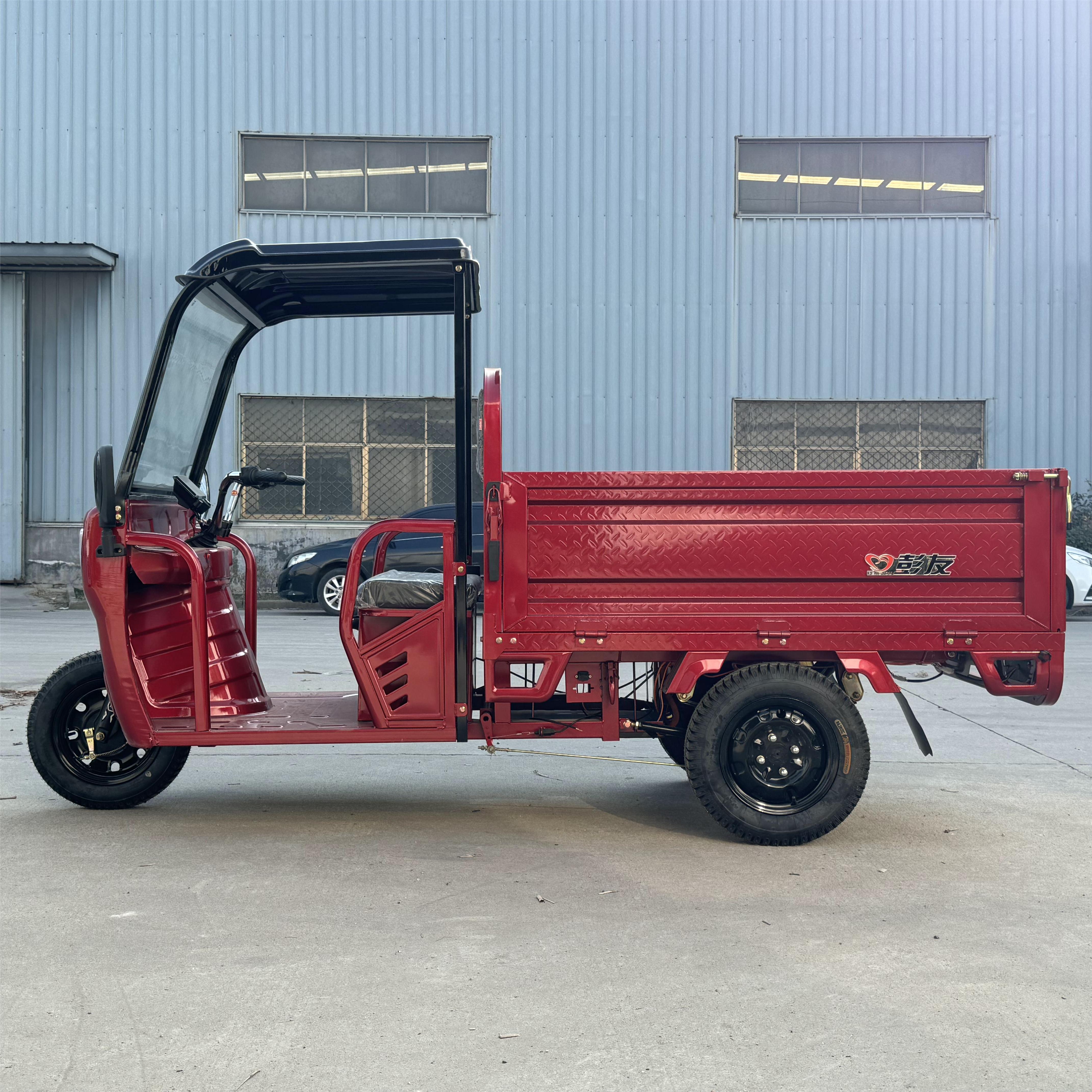 LB-BFB160 Cargo Trike Electric Motor Three Wheel Mini Truck with Shed for Farming and Transport from Manufacturer