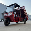 LB-BFB160 Cargo Trike Electric Motor Three Wheel Mini Truck with Shed for Farming and Transport from Manufacturer